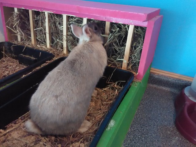 IMG_20160317_140451.jpg (1.68 MiB) Visto 25363 veces IMG_20160317_140451.jpg