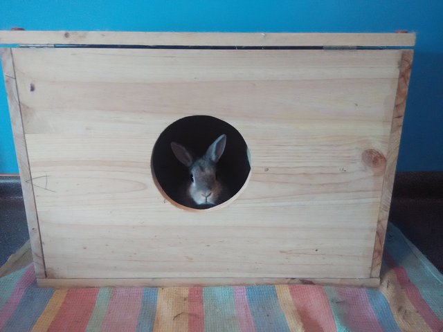 IMG_20160320_154130.jpg (1.25 MiB) Visto 25363 veces IMG_20160320_154130.jpg