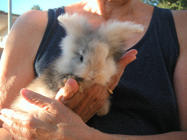 PICT0078.JPG (388.15 KiB) Visto 39755 veces PICT0078.JPG